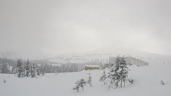 Драгобрат 6 січня 2019 року, 2019-01-06 10:00