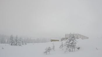 Драгобрат 7 січня 2019 року, 2019-01-07 10:00