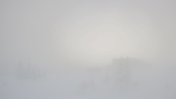 Драгобрат 8 січня 2019 року, 2019-01-08 10:00