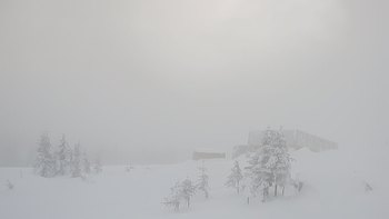 Драгобрат 8 січня 2019 року, 2019-01-08 16:00