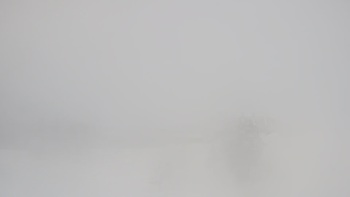 Драгобрат 9 січня 2019 року, 2019-01-09 16:00