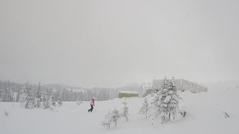 Драгобрат 10 січня 2019 року, 2019-01-10 13:00