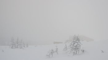 Драгобрат 10 січня 2019 року, 2019-01-10 16:00