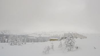 Драгобрат 11 січня 2019 року, 2019-01-11 10:00