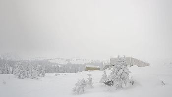 Драгобрат 11 січня 2019 року, 2019-01-11 13:00