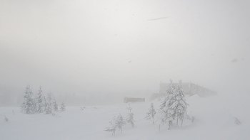 Драгобрат 12 січня 2019 року, 2019-01-12 10:00