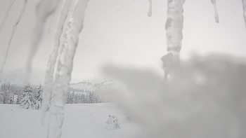 Драгобрат 22 січня 2019 року, 2019-01-22 10:00