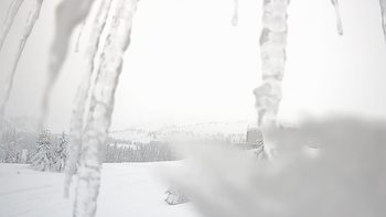Драгобрат 22 січня 2019 року, 2019-01-22 13:00