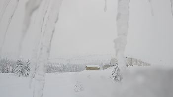 Драгобрат 22 січня 2019 року, 2019-01-22 16:00