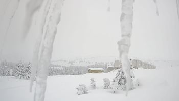 Драгобрат 23 січня 2019 року, 2019-01-23 13:00