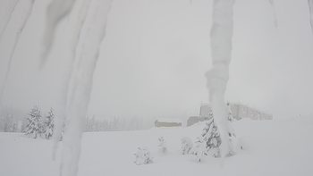 Драгобрат 23 січня 2019 року, 2019-01-23 16:00