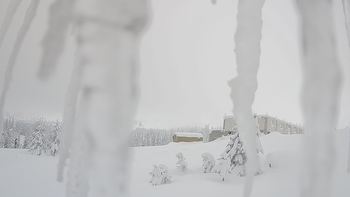 Драгобрат 24 січня 2019 року, 2019-01-24 10:00
