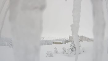Драгобрат 24 січня 2019 року, 2019-01-24 13:00