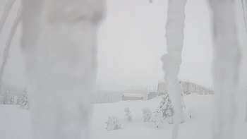 Драгобрат 24 січня 2019 року, 2019-01-24 16:00