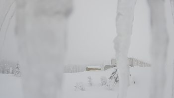 Драгобрат 25 січня 2019 року, 2019-01-25 10:00