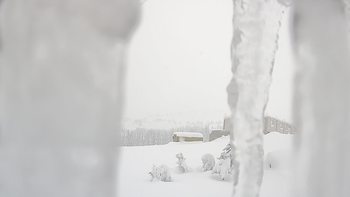 Драгобрат 26 січня 2019 року, 2019-01-26 10:00