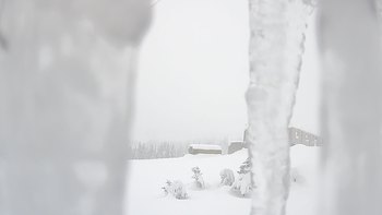 Драгобрат 26 січня 2019 року, 2019-01-26 13:00