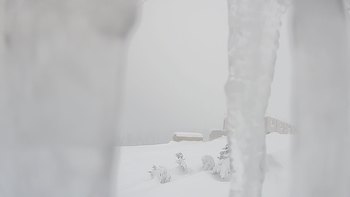 Драгобрат 26 січня 2019 року, 2019-01-26 16:00