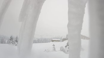 Драгобрат 30 січня 2019 року, 2019-01-30 10:00