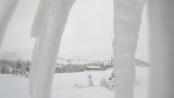 Драгобрат 30 січня 2019 року, 2019-01-30 13:00