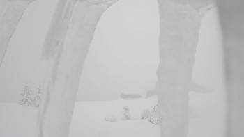 Драгобрат 31 січня 2019 року, 2019-01-31 10:00