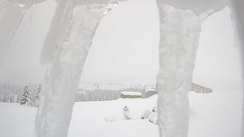 Драгобрат 31 січня 2019 року, 2019-01-31 13:00