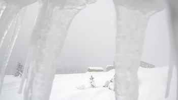 Драгобрат 1 лютого 2019 року, 2019-02-01 10:00