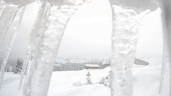 Драгобрат 1 лютого 2019 року, 2019-02-01 13:00