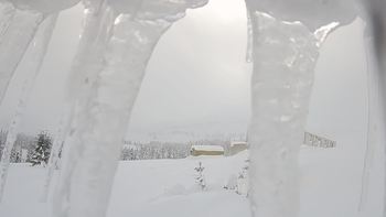 Драгобрат 1 лютого 2019 року, 2019-02-01 16:00
