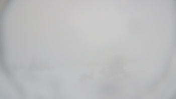 Драгобрат 11 лютого 2019 року, 2019-02-11 10:00