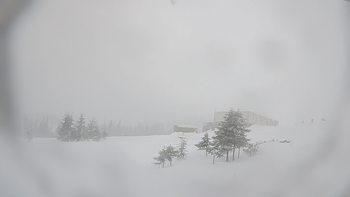 Драгобрат 11 лютого 2019 року, 2019-02-11 16:00