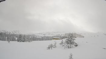 Драгобрат 12 лютого 2019 року, 2019-02-12 10:00