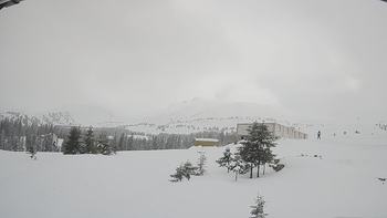 Драгобрат 12 лютого 2019 року, 2019-02-12 16:00