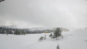 Драгобрат 15 лютого 2019 року, 2019-02-15 10:00