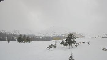 Драгобрат 20 лютого 2019 року, 2019-02-20 16:00