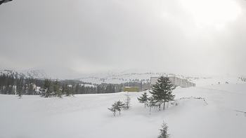 Драгобрат 5 березня 2019 року, 2019-03-05 16:00