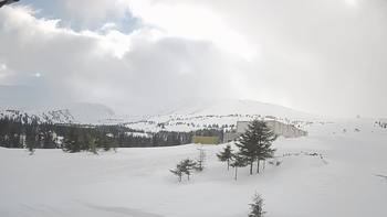 Драгобрат 6 березня 2019 року, 2019-03-06 16:00
