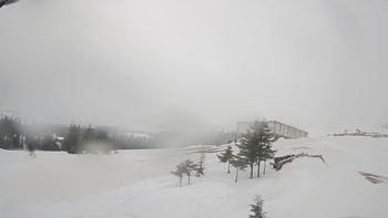 Драгобрат 8 березня 2019 року, 2019-03-08 10:00