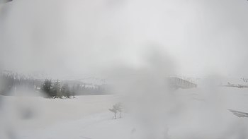 Драгобрат 8 березня 2019 року, 2019-03-08 13:00