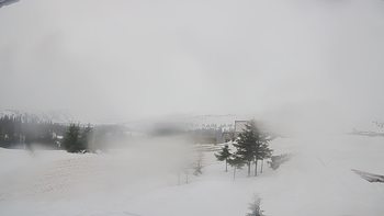 Драгобрат 8 березня 2019 року, 2019-03-08 16:00