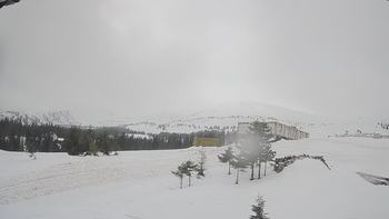 Драгобрат 9 березня 2019 року, 2019-03-09 10:00