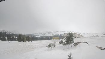 Драгобрат 9 березня 2019 року, 2019-03-09 13:00