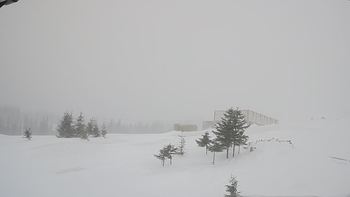 Драгобрат 10 березня 2019 року, 2019-03-10 16:00