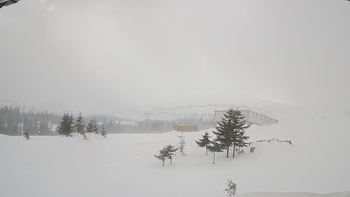 Драгобрат 14 березня 2019 року, 2019-03-14 16:00