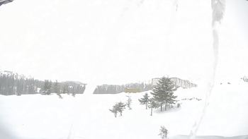 Драгобрат 16 березня 2019 року, 2019-03-16 13:00