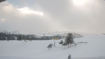 Драгобрат 17 березня 2019 року, 2019-03-17 16:00