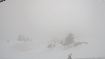 Драгобрат 19 березня 2019 року, 2019-03-19 10:00