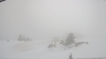 Драгобрат 19 березня 2019 року, 2019-03-19 13:00