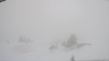 Драгобрат 19 березня 2019 року, 2019-03-19 16:00
