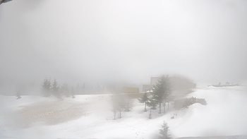 Драгобрат 25 березня 2019 року, 2019-03-25 13:00